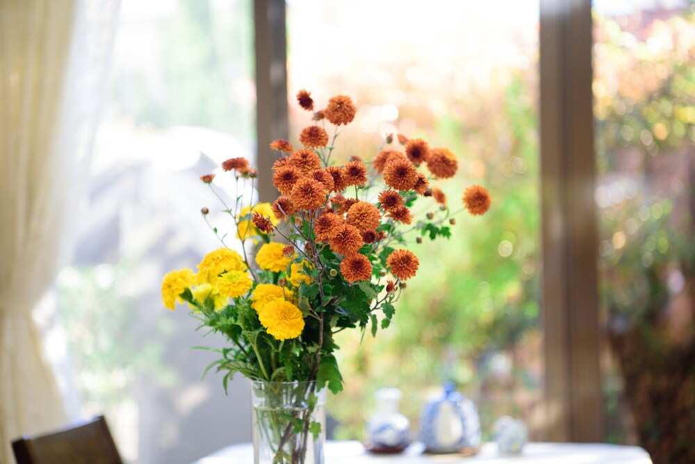 ホテルズドットコム