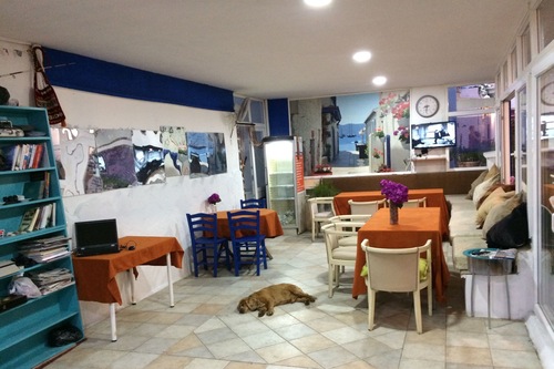 Book Gozde Deniz Hotel In Bodrum Hotels Com