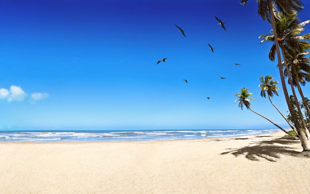 Book Sanibel Island Beach Resort In Hotels Sanibel Island Beach Resort