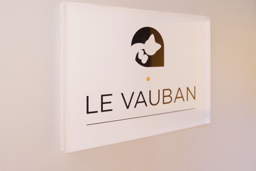 Book Le Chat Qui Dort In Lille Hotels Com Book Le Chat Qui Dort In Lille Hotels Com