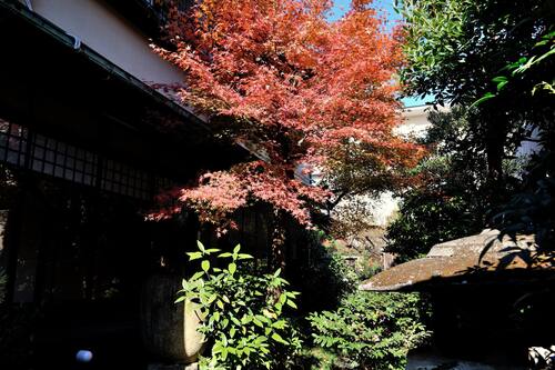 宿屋 西陣荘 京都市 の宿泊予約 ホテルズドットコム 宿屋 西陣荘 京都市 の宿泊予約 ホテルズドットコム