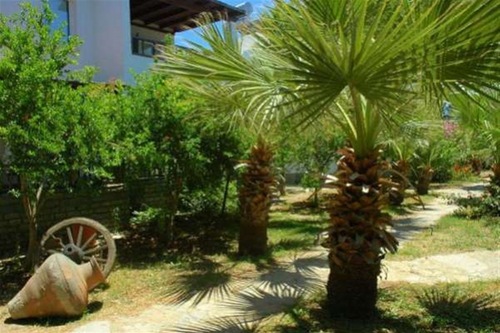 Book Alfa Apart Otel In Bodrum Hotels Com