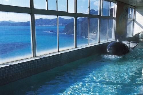 シーサイドホテル鯨望荘 志摩 の宿泊予約 ホテルズドットコム シーサイドホテル鯨望荘 志摩 の宿泊予約 ホテルズドットコム