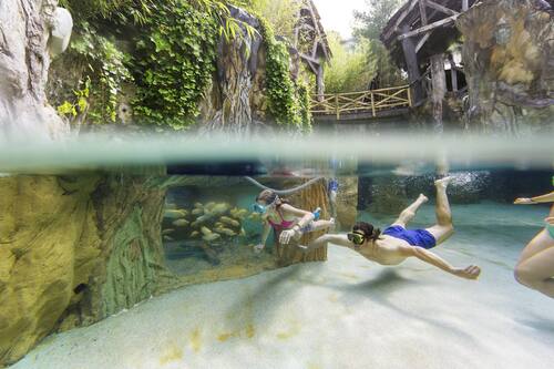 Book Center Parcs Erperheide In Peer Hotels Com Book Center Parcs Erperheide In Peer Hotels Com
