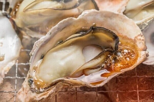 セントラーレ ホテル京丹後 京丹後 の宿泊予約 ホテルズドットコム