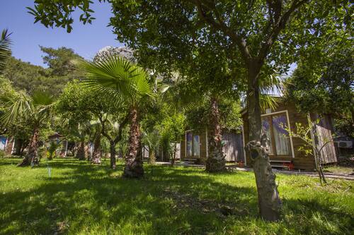 book likya evleri olympos adults only in kumluca hotels com