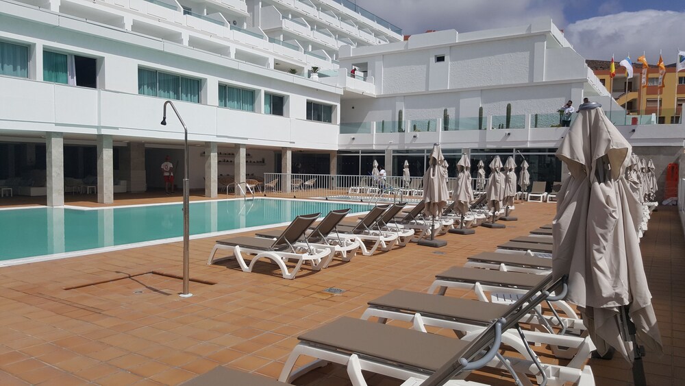 42+ Hotel lemon soul cactus garden