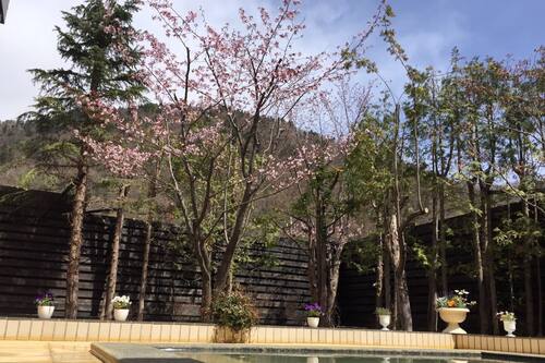 温泉旅館錦和荘 札幌市 の宿泊予約 ホテルズドットコム 温泉旅館錦和荘 札幌市 の宿泊予約 ホテルズドットコム