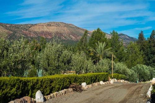 La Bergerie Ouirgane Hotels Com