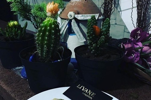 Book Livane Pansiyon In Bodrum Hotels Com