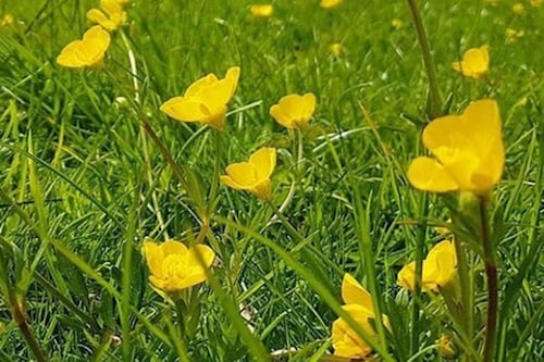 ブルートン のホテル 宿泊予約 格安ホテル予約 最安値検索 ホテルズドットコム 多数の宿泊施設のキャンセル無料 ブルートン のホテル 宿泊予約 格安ホテル予約 最安値検索 ホテルズドットコム 多数の宿泊施設のキャンセル無料