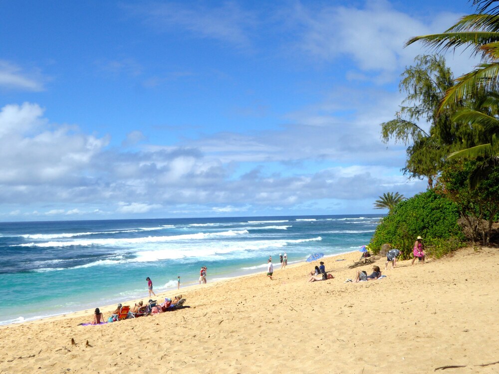 ocean view gem in the heart of waikiki, hawaiian dream vacation