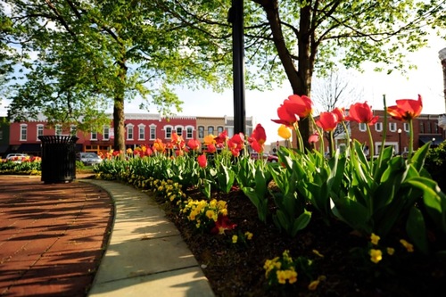 Top Hotels In Downtown Bentonville Bentonville Arkansas Hotels Com Top Hotels In Downtown Bentonville Bentonville Arkansas Hotels Com