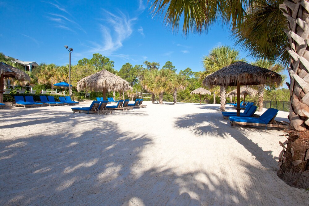 Book Bahama Bay Resort in Davenport