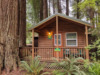 Top 10 Hotels In Orick Humboldt County