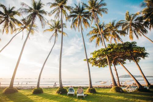 Book Hotel Tamarindo Diria Beach Resort In Tamarindo Hotels Com Book Hotel Tamarindo Diria Beach Resort In Tamarindo Hotels Com