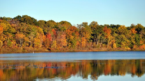 ベインブリッジ ジアーガ郡 のホテル 宿泊予約 格安ホテル予約 最安値検索 ホテルズドットコム 多数の宿泊施設のキャンセル無料