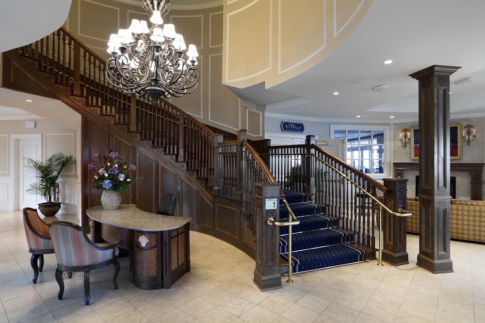 Book Madison Beach Hotel In Hotels