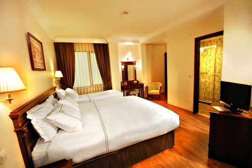 Hotel Golden Crown In Istanbul Hotels Com
