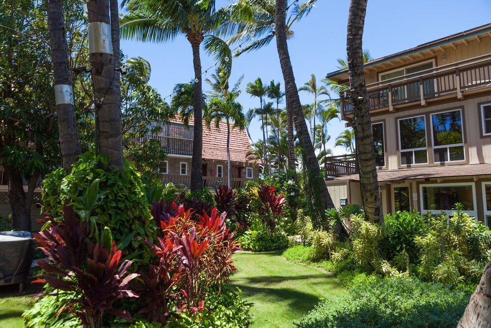 Book Kohea Kai Maui An Ascend Hotel Collection Member In Kihei Kohea Kai Maui An Ascend Hotel Collection Member Kihei