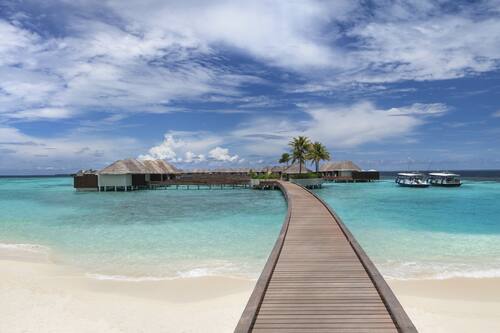 W Maldives Fesdu Island Hotels Com