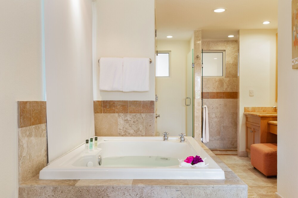 Villa Del Arco Beach Resort Spa Cabo San Lucas Los Cabos Et Environs Hotels Com