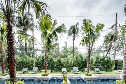 タイ プーケット 県 のホテル 宿泊予約 格安ホテル予約 最安値検索 ホテルズドットコム タイ プーケット 県 のホテル 宿泊予約 格安ホテル予約 最安値検索 ホテルズドットコム