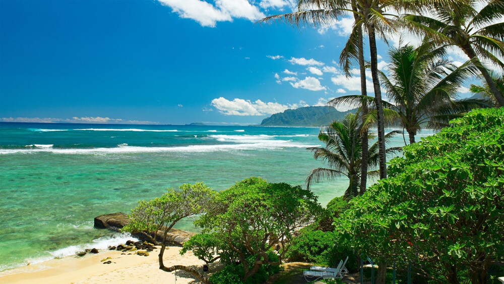 ティキ ムーン ヴィラズ ライエ の宿泊予約 ホテルズドットコム