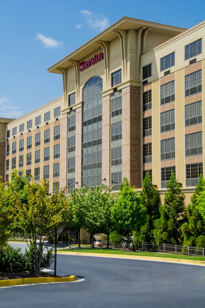 Book Sheraton Baltimore Washington Airport Hotel Bwi In Sheraton Baltimore Washington Airport Hotel Bwi Linthi Heights