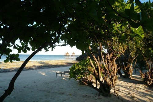 Pakachi Beach Resort Hotel In Jambiani Hotels Com