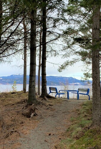 Top Hotels In Malvik Norway Cancel Free On Most Hotels Hotels Com