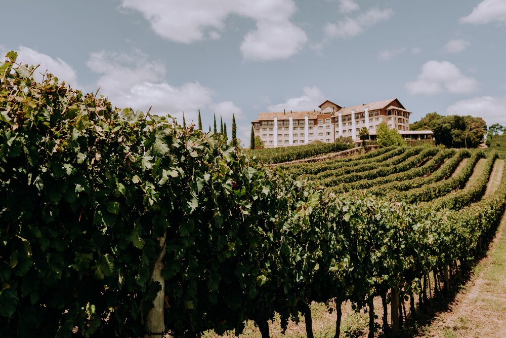 Hotel & Spa do Vinho, Autograph Collection, Bento Gonçalves, Fachada