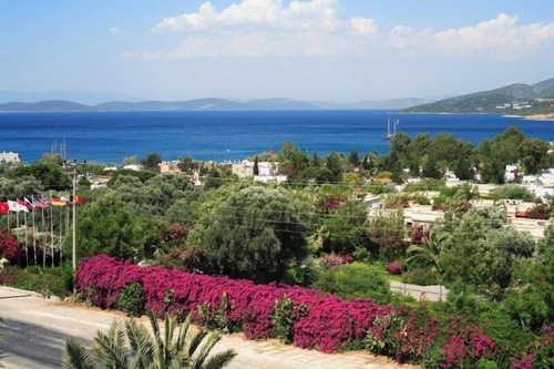 Hotel Zeytinada Bodrum Hotels Com