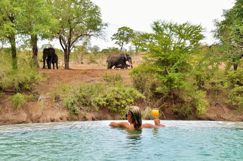 6x Betaalbare Krugerpark Safari Lodges in Privé Reservaten Zuid-Afrika