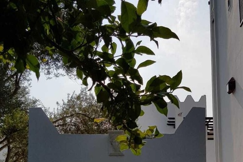 Book Ece Hotel Bodrum In Bodrum Hotels Com