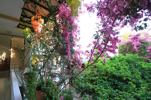 Sevin Hotel Bodrum Hotels Com