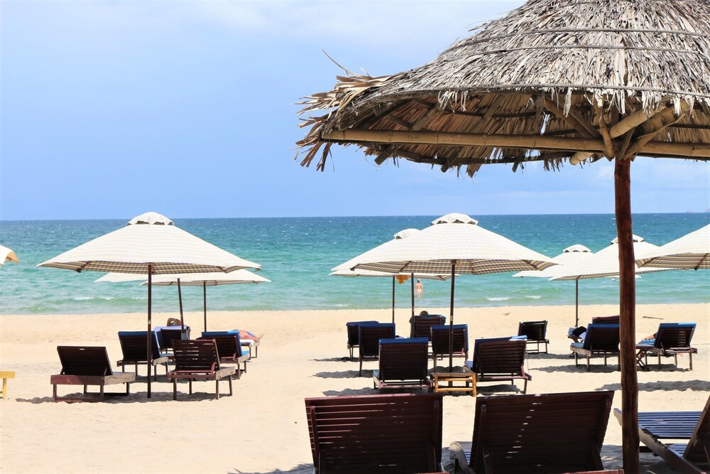 under the coconut tree hoi an info photos reviews book at