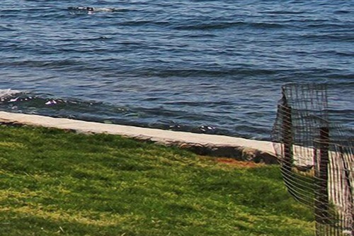 Misket Hotel Bodrum Hotels Com