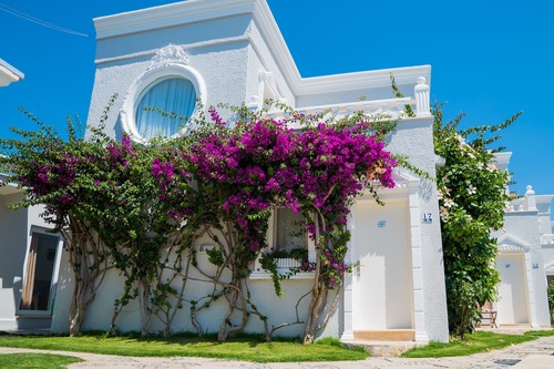 Book Art Suites Hotel Bodrum In Bodrum Hotels Com