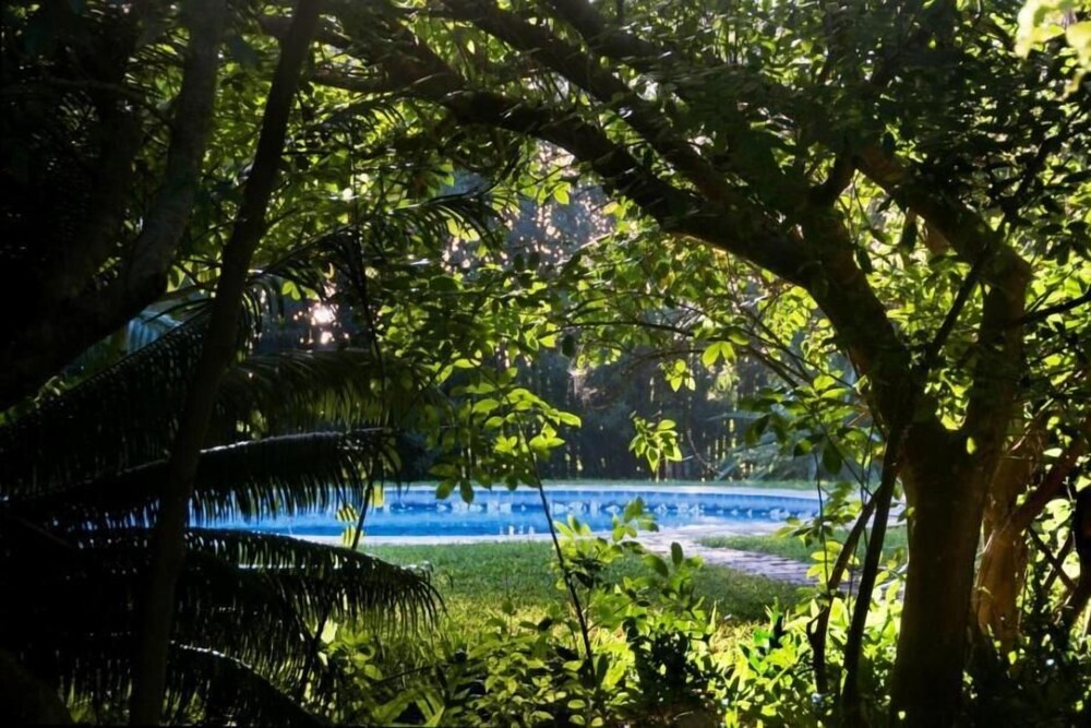 Palmeiras Lodge En Vilanculos Hotels Com