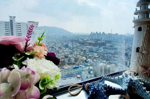 Dg ハウス 大邱 の宿泊予約 ホテルズドットコム Dg ハウス 大邱 の宿泊予約 ホテルズドットコム