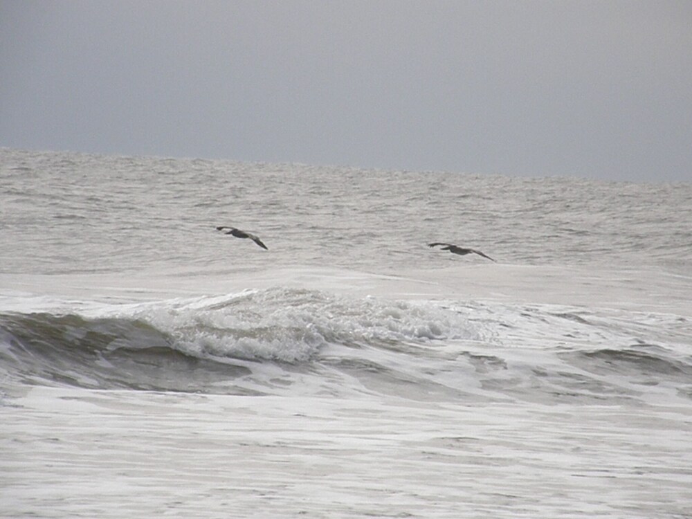 newly painted beautiful condo hi speed wi-fi fossil display