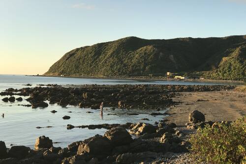 Book Wellington Beach Suite In Porirua Hotels Com