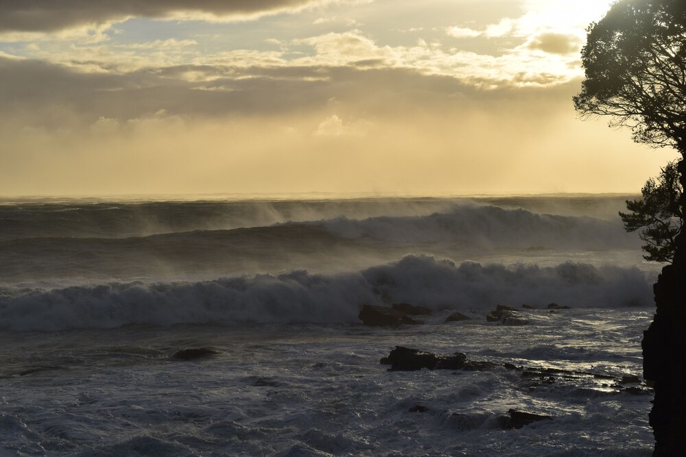 Book Xyz Private Spa And Seaside Resort In Shirahama Hotels Com