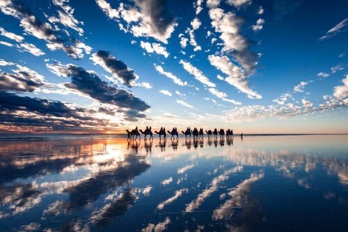 Kimberley Travellers Lodge Hostel Broome And Vicinity Australia Broome And Vicinity Hotel Discounts Hotels Com