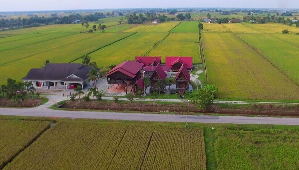 D Sawah Bendang Homestay Sungai Besar Updated Price Reviews Hd Photos Hotels Com