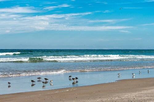 Book Seaside S 4302 1 Bedroom Condo In New Smyrna Beach Hotels Com Book Seaside S 4302 1 Bedroom Condo In New Smyrna Beach Hotels Com