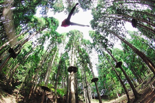 神鍋温泉 オーベルジュ アルビレオ天文台 豊岡 の宿泊予約 ホテルズドットコム 神鍋温泉 オーベルジュ アルビレオ天文台 豊岡 の宿泊予約 ホテルズドットコム