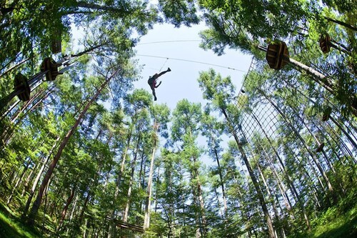 神鍋温泉 オーベルジュ アルビレオ天文台 豊岡 の宿泊予約 ホテルズドットコム