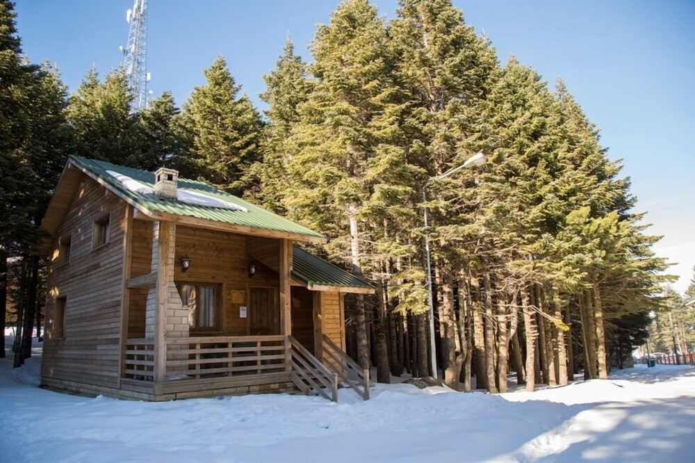 Uludag Orman Koskleri Uludag Turkiye Ozel Otel Yorumlari Ve Fiyat Karsilastirmasi Tripadvisor